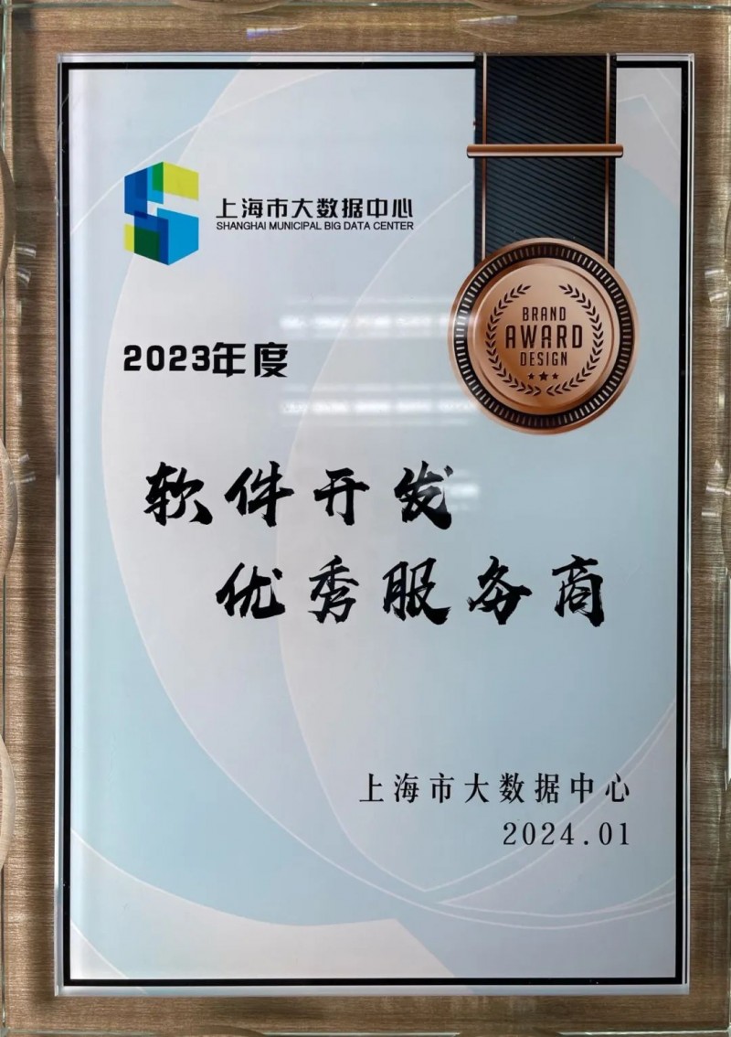 软件开发行业的上海风向标：引领数字化变革的力量